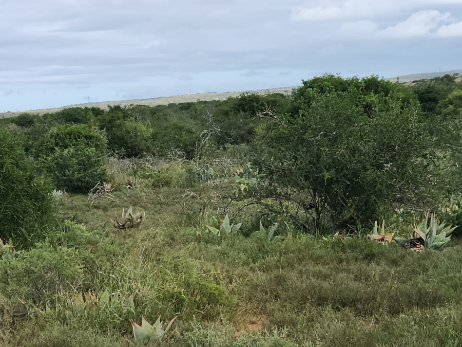 Commercial Property for Sale in Somerset East Rural Eastern Cape